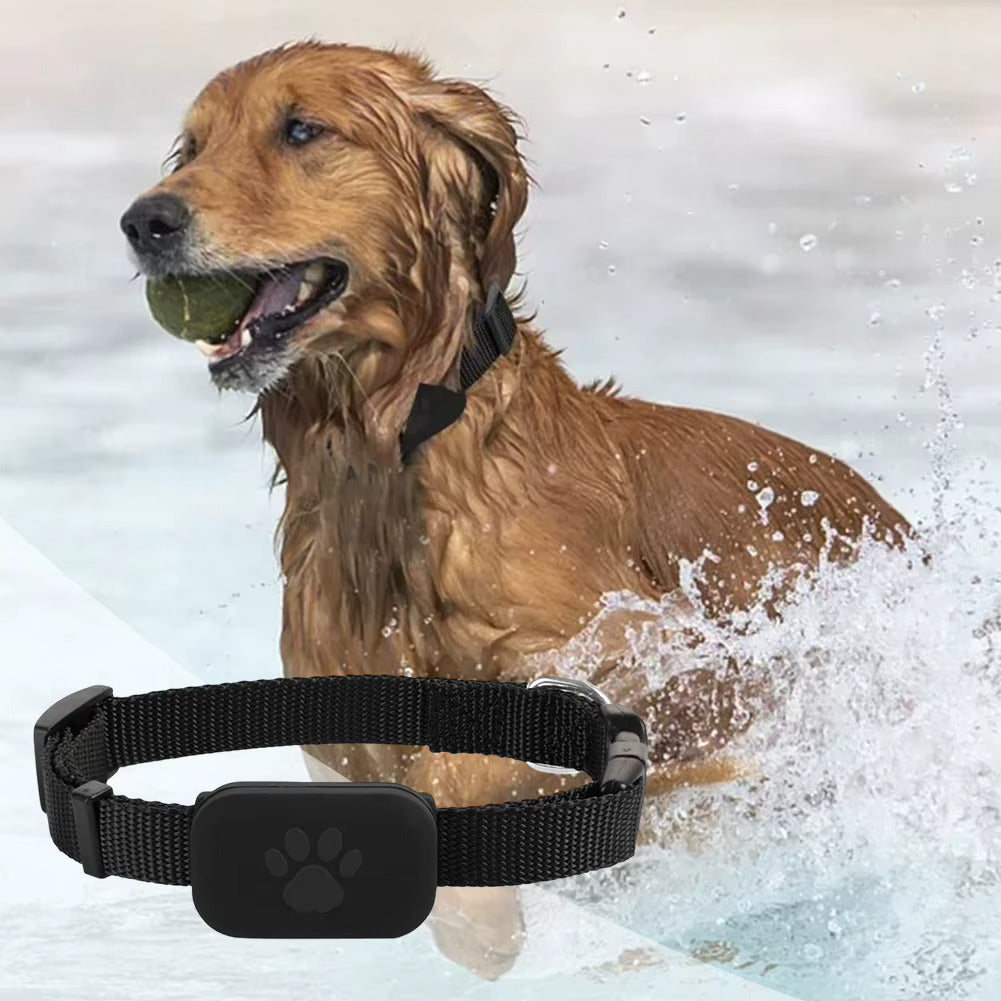 Waterproof Pet GPS Tracker Dog & Cat